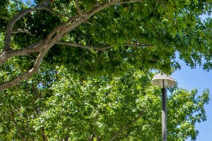 La Villita Apartments 6727 Deseo Irving Tx Rentcaf 233